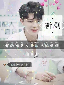 我的陆夫人喜欢玩躲猫猫