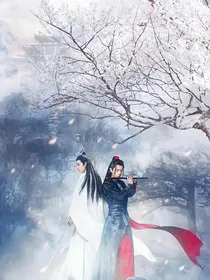 陈情令之蓝湛你变了