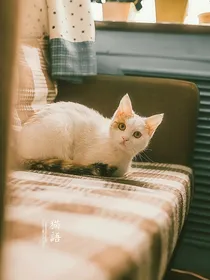 好好对自己呀