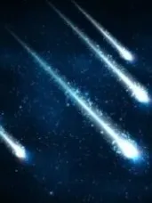 神兽金刚之注定的命运