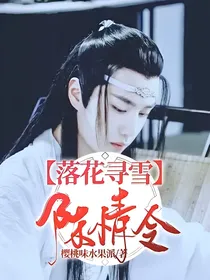 陈情令：落花寻雪