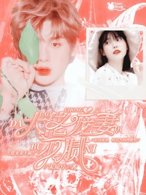 宠妻狂魔不能惹