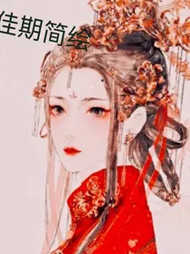 佳期简绘（宫斗文）