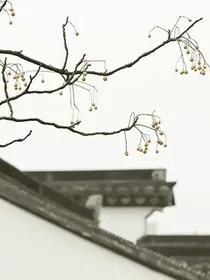 清华浮梦纪
