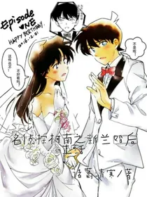 名侦探柯南之新兰婚后生活