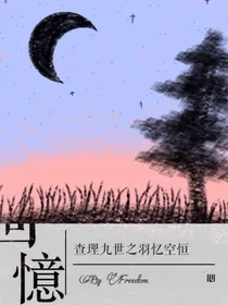 查理九世之羽忆空恒