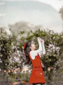 【绎夏】富士山下