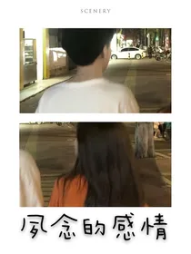 夙念的感情