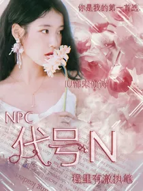 NPC：代号N