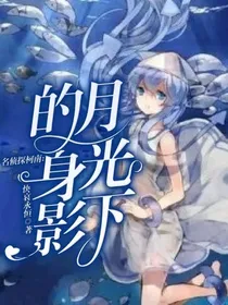 名侦探柯南：月光下的身影