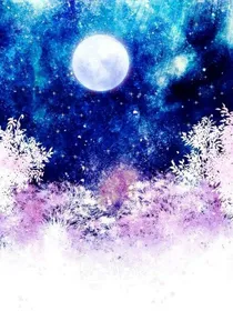 星花奇迹 Star flower miracle