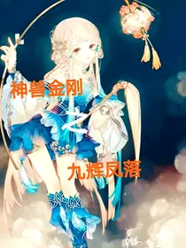 神兽金刚之九辉凤落