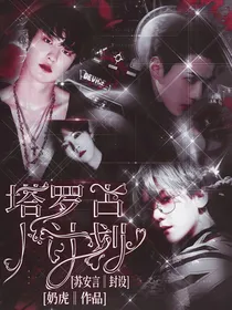 EXO：塔罗占卜计划