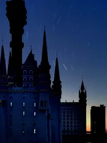 魔法界：种族的历史