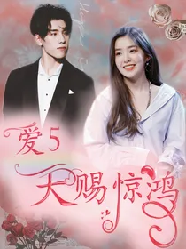 爱情公寓5：天赐惊鸿