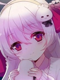 茉茶的学习生涯