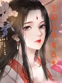 王妃马甲有点多