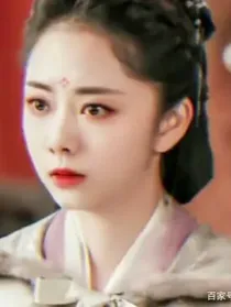 锦衣之下之现代版（抱错孩子）第一季