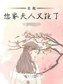 总裁您家的夫人又跑了