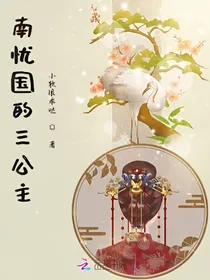 南忧国的三公主