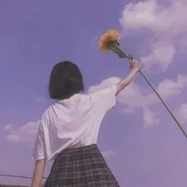 蓝桉树上的鸟