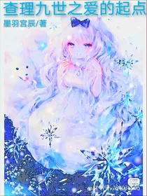 查理九世之爱的起点