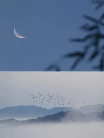救赎计划：