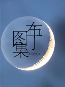 布丁图集