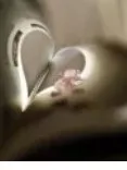 就在那一瞬间，我心动了