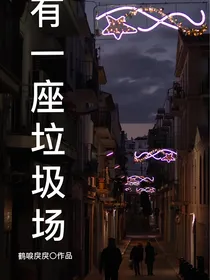我有一座垃圾场