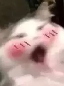 抽屉小故事录