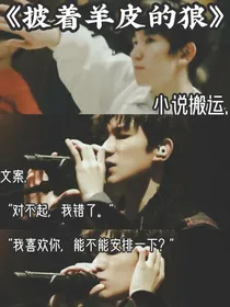 《披着羊皮的狼》