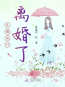 总裁，我们离婚了