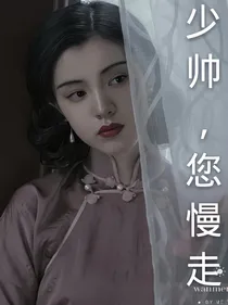 少帅，您慢走