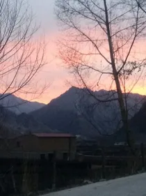 念惜