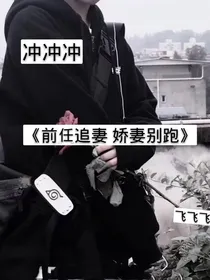 前任追妻，娇妻别跑
