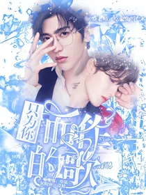只为你而做的歌