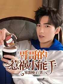 哥哥的惹祸小能手