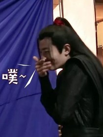 狂风暴雨也陪你