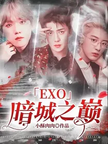 EXO暗城之巅