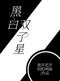 怪物大师之黑白双子星