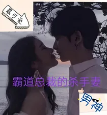 霸道总裁的杀手妻