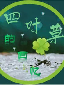 四叶草的回忆