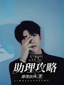 NPC：助理攻略！