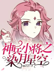 神兵小将之染月星空