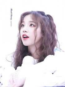 Fine图片大全-d345