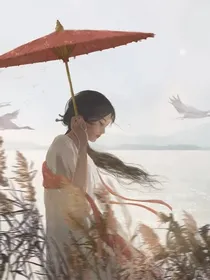 穿越之平衡时空