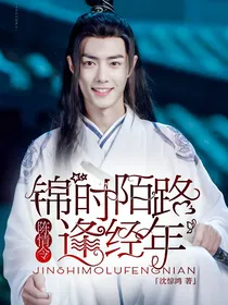 陈情令：锦时陌路逢经年