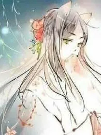 作者的大演讲。