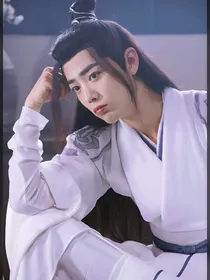 陈情令始知相忆深